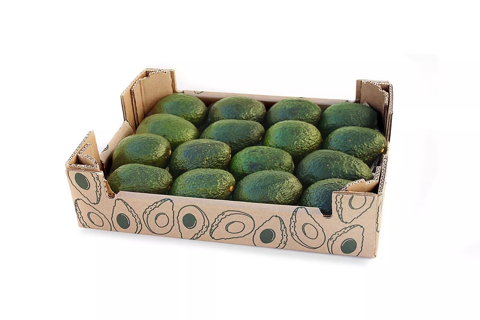 Wholesale-Fresh-Fruit-Distribution-Frutéate®-Courtage